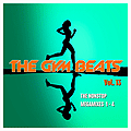 Various Artists - The Gym Beats Vol.13